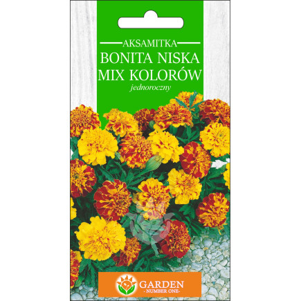 Aksamitka Bonita niska Mix Kolorów (Tagetes patula nana) 1 g