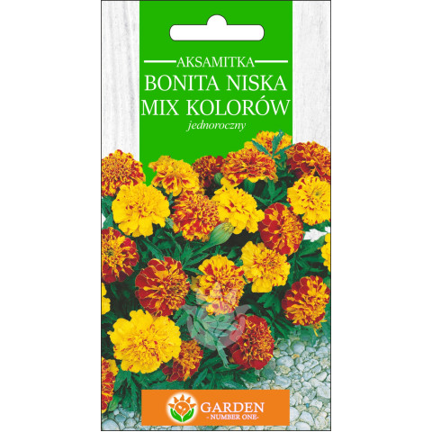 Aksamitka Bonita niska Mix Kolorów (Tagetes patula nana) 1 g