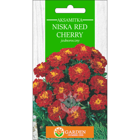 Aksamitka niska Red Cherry (Tagetes patula nana) 1 g