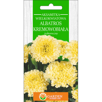 Aksamitka wielkokwiatowa Albatros Kremowobiała (Tagetes erecta nana) 0.3 g 