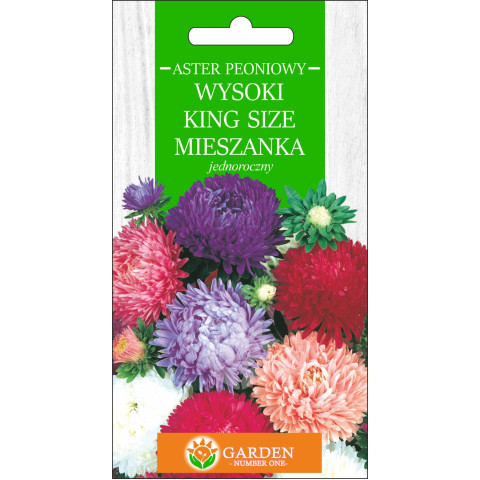 Aster Peoniowy Wysoki King Size Mieszanka (Callistephus chnensis) 1 g 