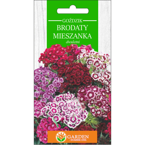 Goździk Brodaty Mieszanka (Dianthus barbatus) 1 g 