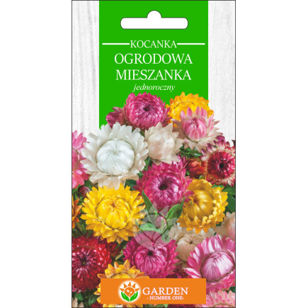 Kocanka Ogrodowa Mieszanka (Helichrysum bracteatum) 1 g 