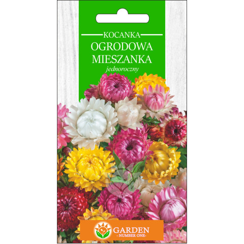 Kocanka Ogrodowa Mieszanka (Helichrysum bracteatum) 1 g 