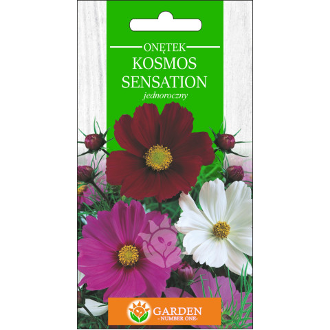 Onętek, Kosmos Sensation (Cosmos bipinnatus) 2 g 