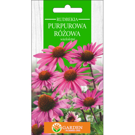 Rudbekia Purpurowa Różowa (Rudbekia purpurea) 1 g 