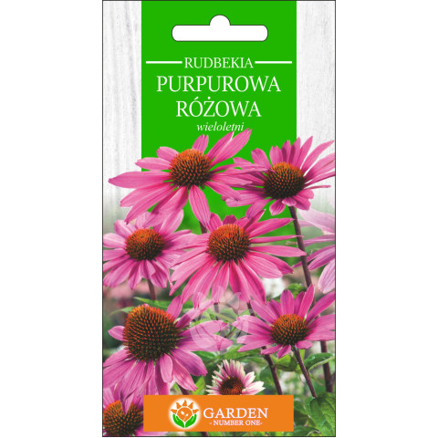 Rudbekia Purpurowa Różowa (Rudbekia purpurea) 1 g 