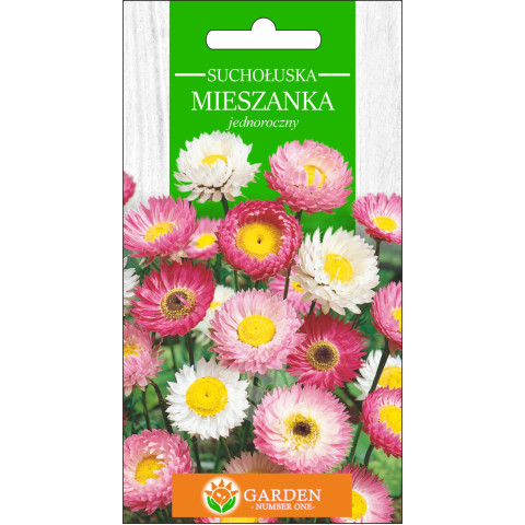 Suchołuska Mieszanka (Helipterum roseum) 1 g 