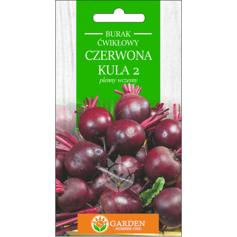 Burak ćwikłowy Czerwona Kula 2 5 g 