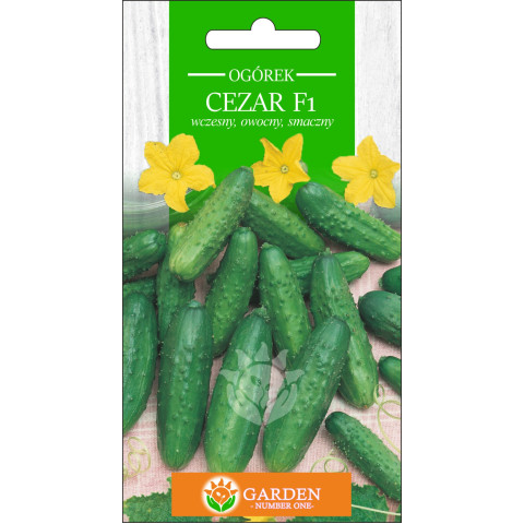 Ogórek Cezar F1 5 g 