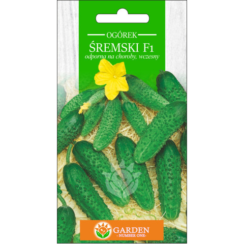 Ogórek Śremski F1 1 g